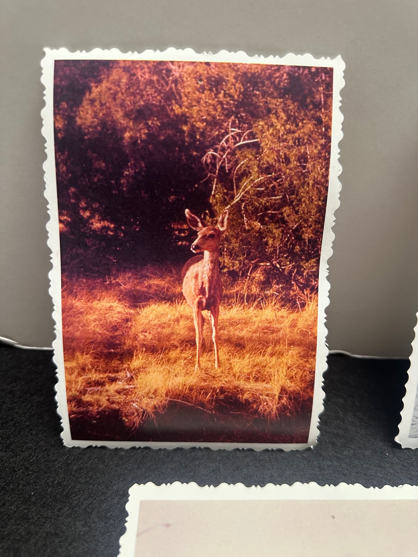 Stephen King, Salem’s Lot, Set of 7 Studio Produced Images for use in Dells Bar Scenes