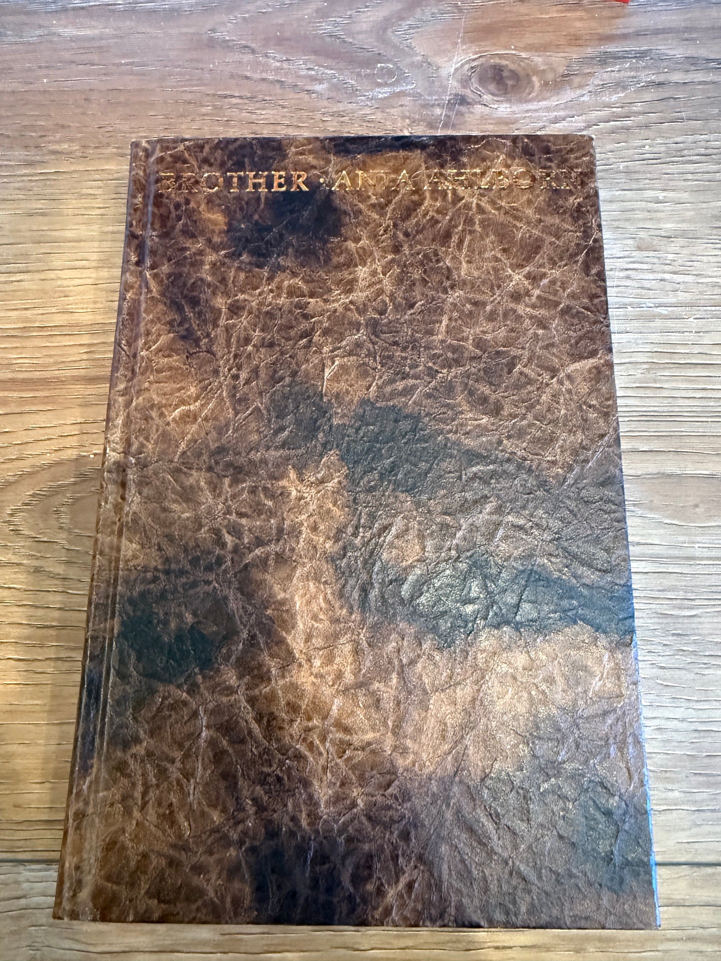 Ania Ahlborn, Brother, Artist Edition, Suntup Press