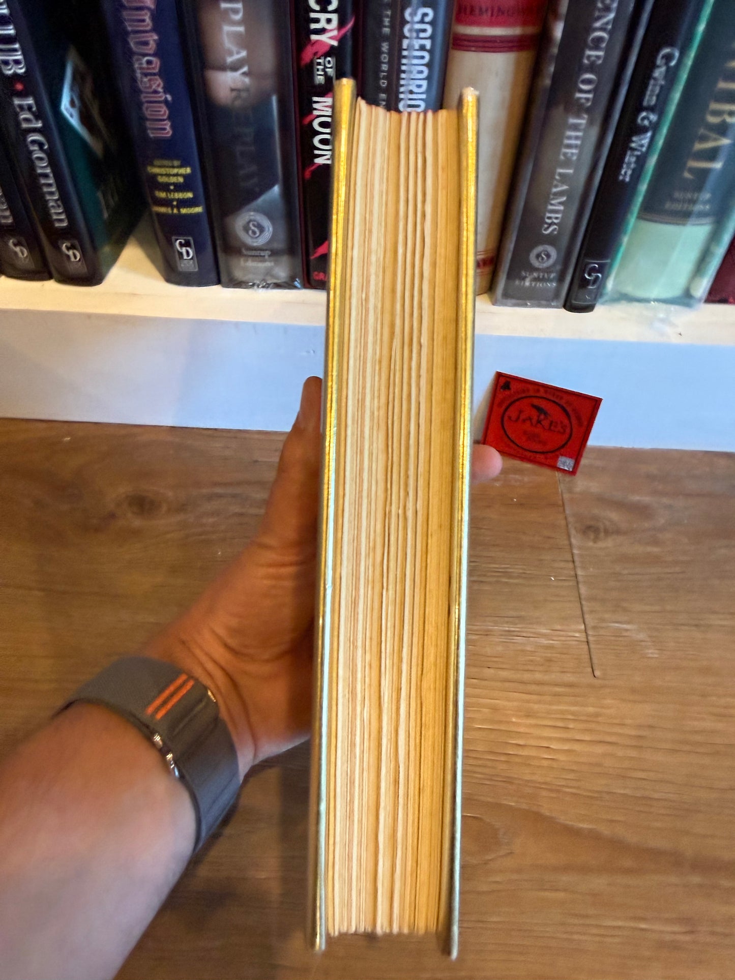 Anne Rice, Interview With a Vampire, First Edition, Knopf Publishing