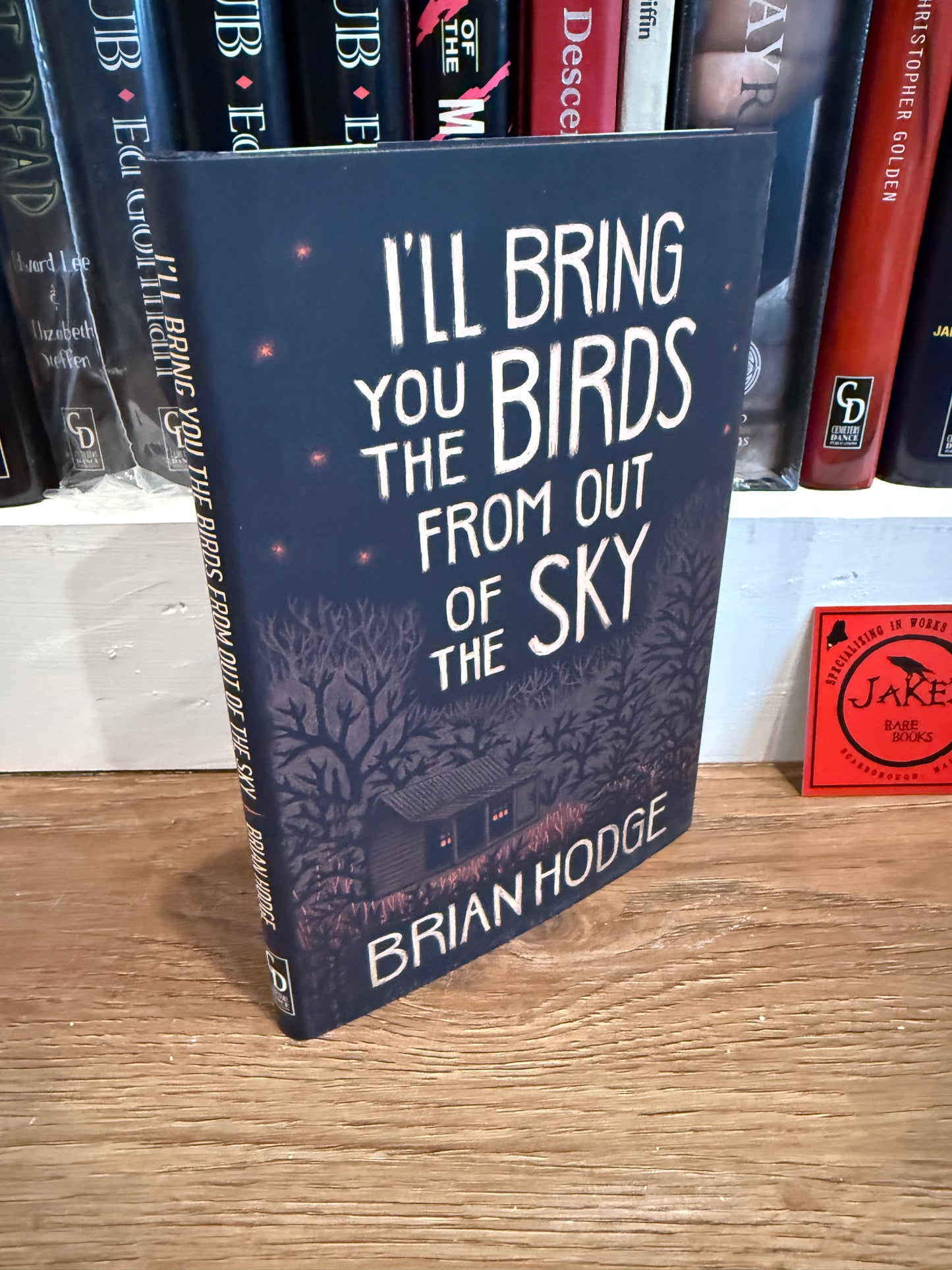 Brian Hodge, I’ll Bring You the Birds From Out of the Sky, Signed Limited Edition, Cemetery Dance
