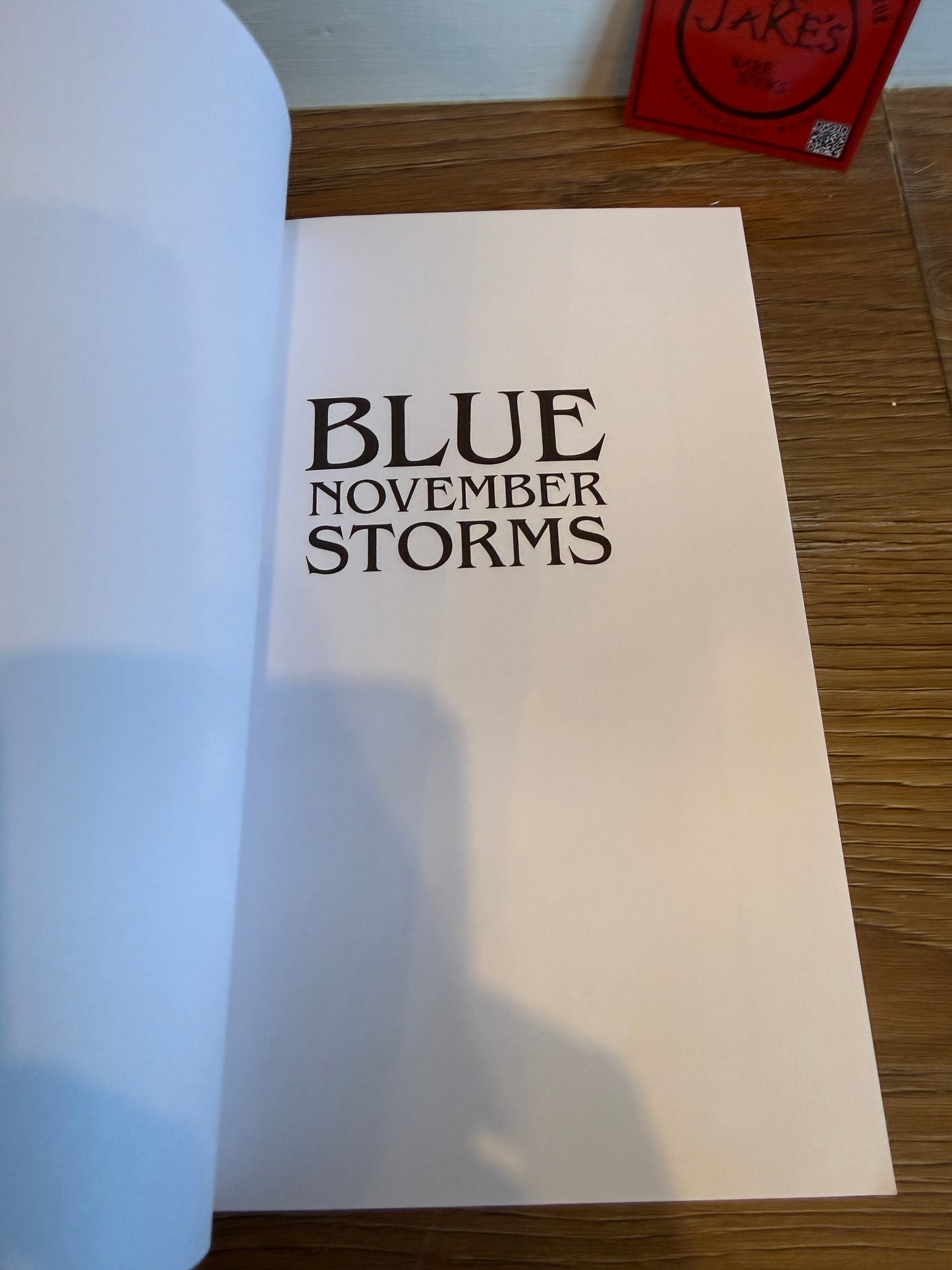 Brian James Freeman, Blue November Storms, Signed First Edition, Lividian Publications