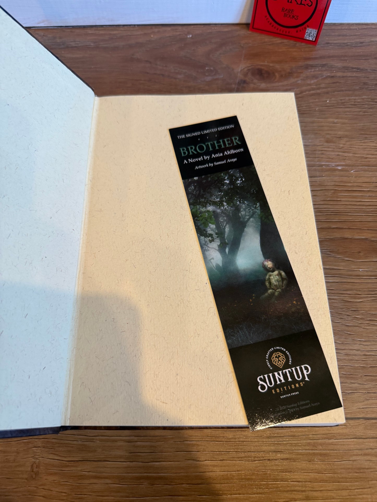 Ania Ahlborn, Brother, Artist Edition, Suntup Press