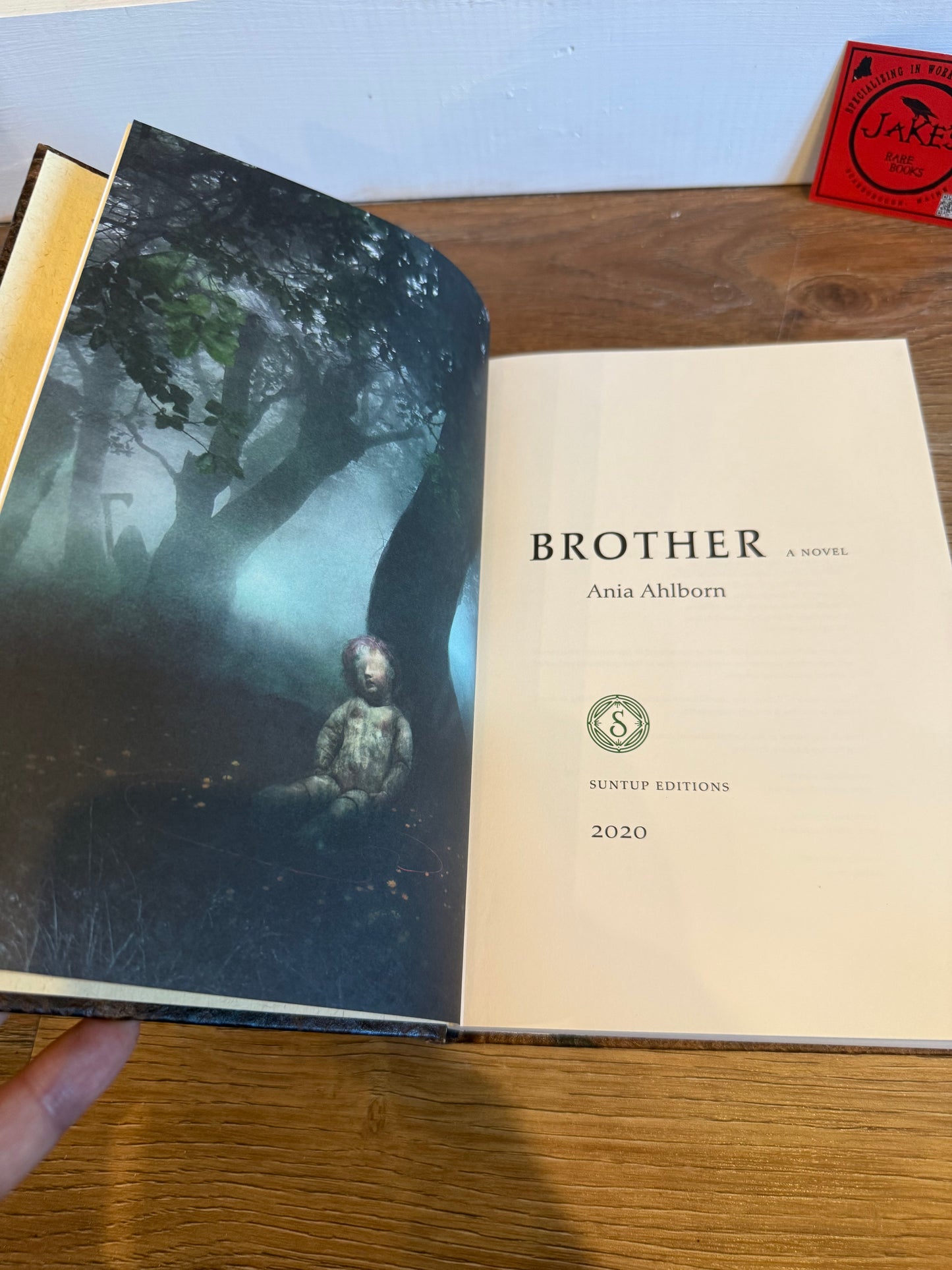 Ania Ahlborn, Brother, Artist Edition, Suntup Press